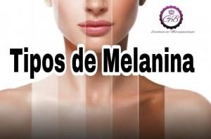 OS TIPOS DE MELANINA